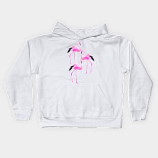 Pink Flamingo Kids Hoodie